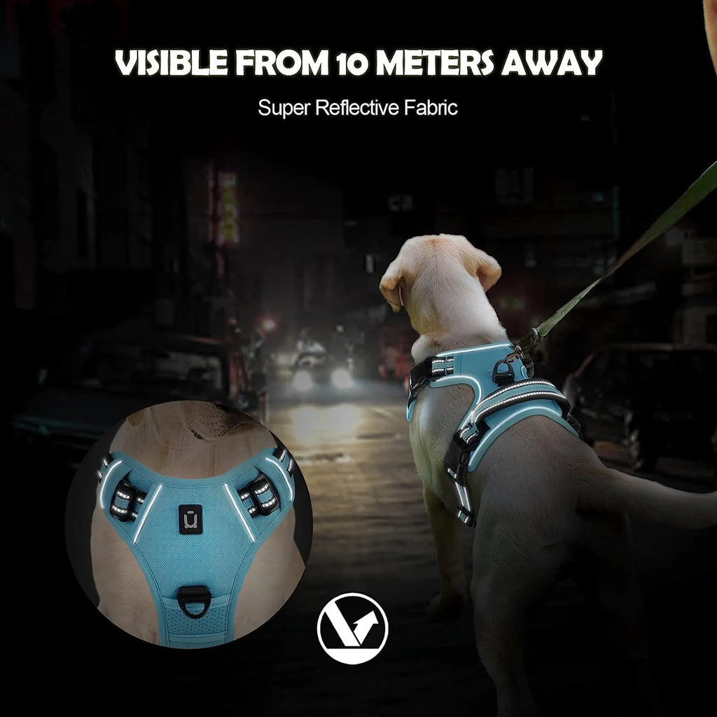 Dog wearing reflective no pull harness visible from 10 meters away at night - Wild Indoors Pet