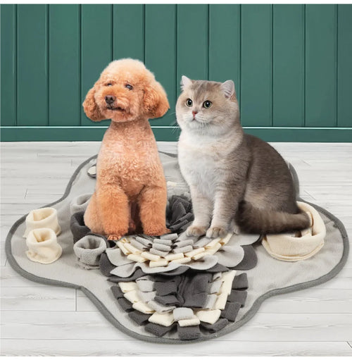 Dog and cat sitting beside grey snuffle mat with hidden treat pockets - Wild Indoors Pet