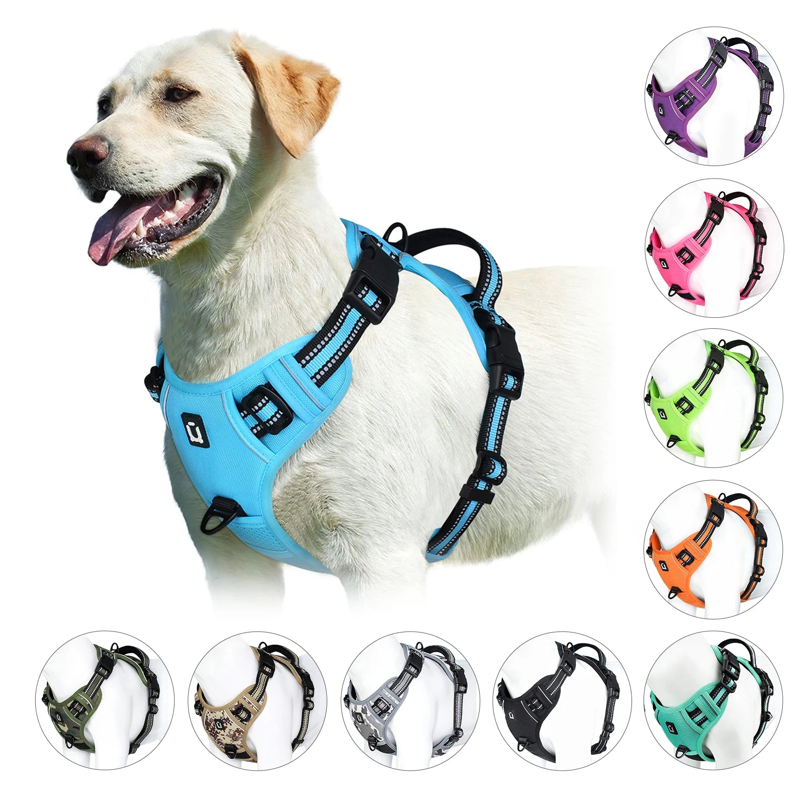 Dog wearing sky blue no-pull harness with 9 color options displayed - Wild Indoors Pet