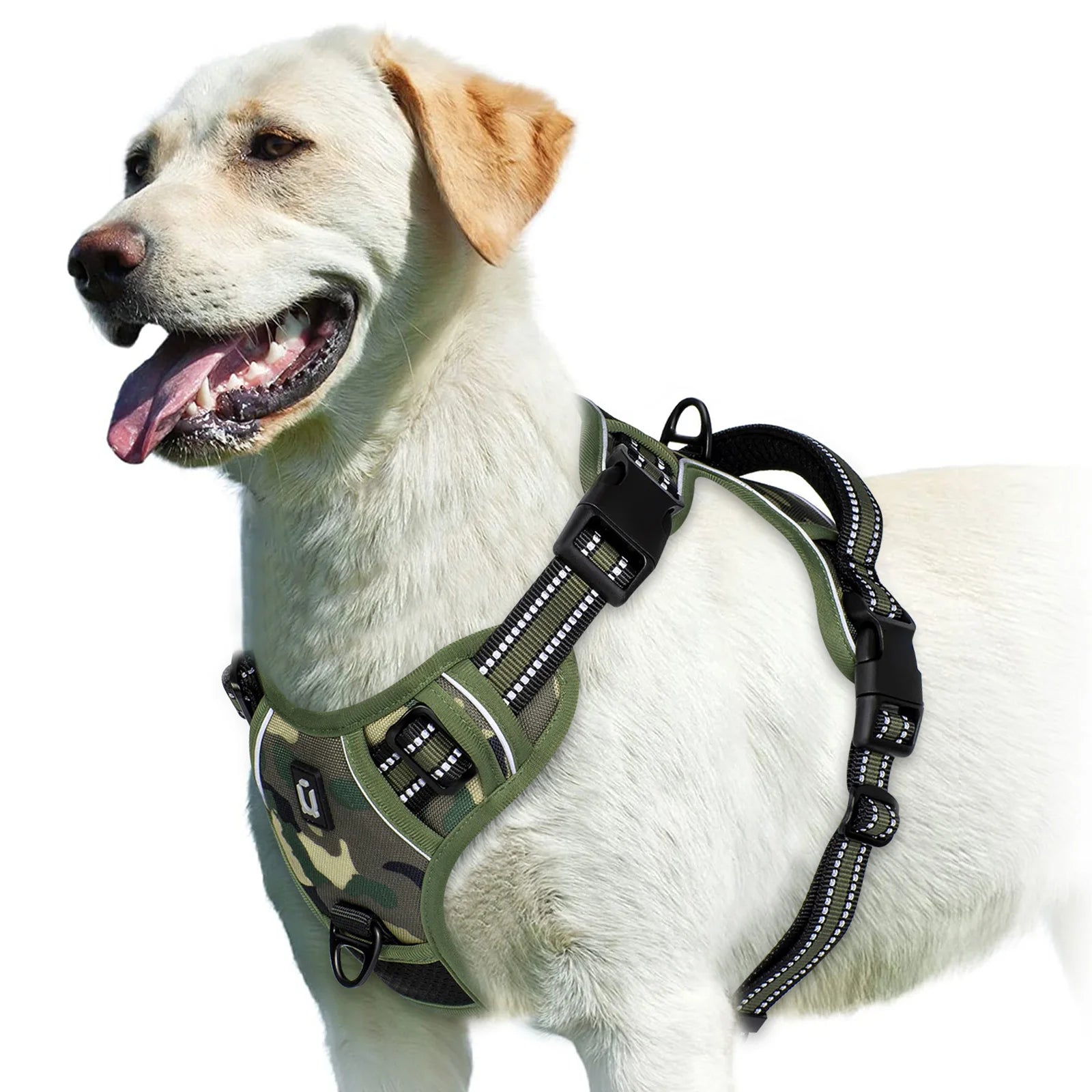 Dog wearing army green camouflage no pull harness on white background - Wild Indoors Pet