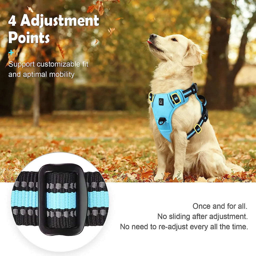 Dog wearing blue harness with 4 adjustable straps for a customizable fit outdoors - Wild Indoors Pet