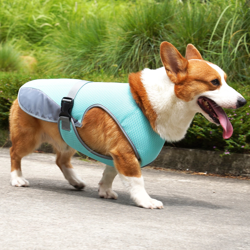 Dog wearing gray cooling vest outdoors - Wild Indoors Pet