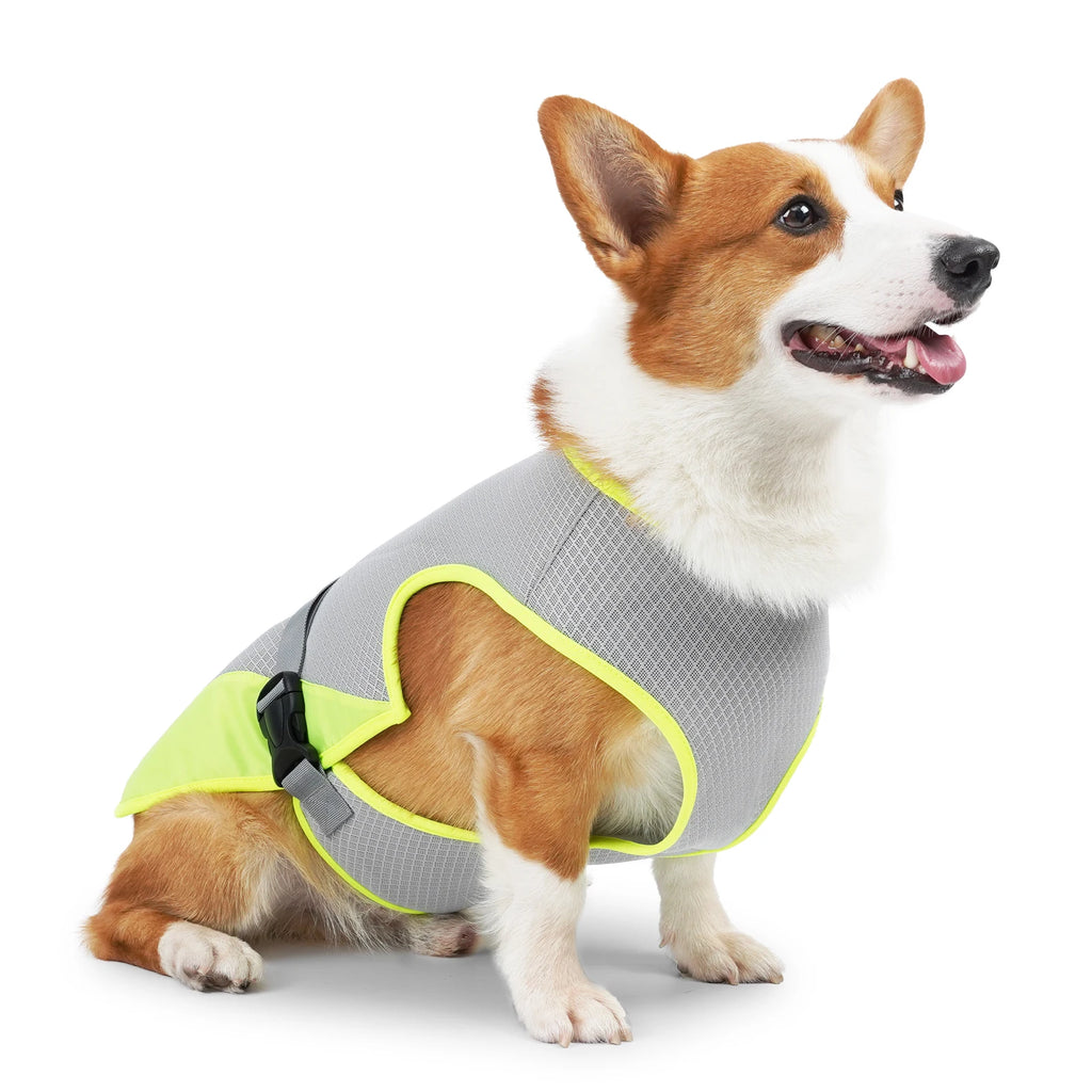 Dog in cooling vest with harness zipper opening - Wild Indoors Pet